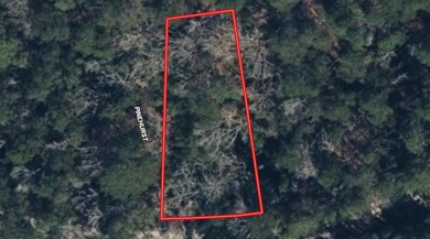 Lake Sam Rayburn  Lot For Sale in Brookeland Texas
