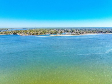 CAREFREE waterfront living on a protected deep-water lot with - photo 3