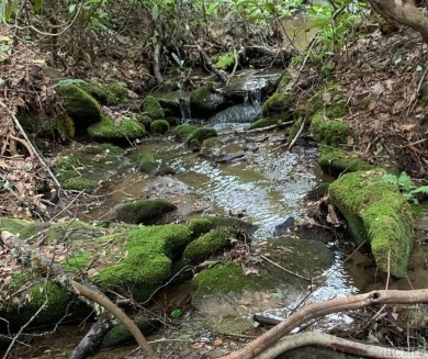 Lake Lot For Sale in Cullowhee, North Carolina