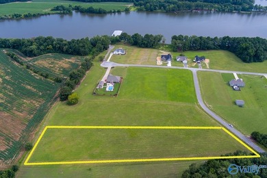 Weiss Lake! Enjoy LAKE LIFE LIVING! Build your Dream Home Here - photo 12