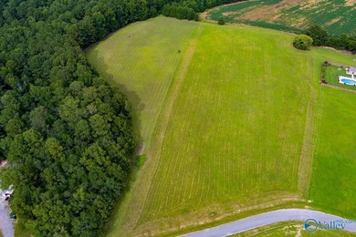 Weiss Lake! Enjoy LAKE LIFE LIVING! Build your Dream Home Here - photo 13