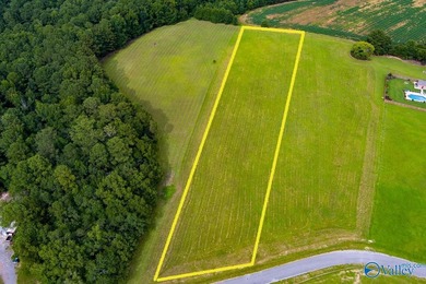 Weiss Lake! Enjoy LAKE LIFE LIVING! Build your Dream Home Here - photo 14
