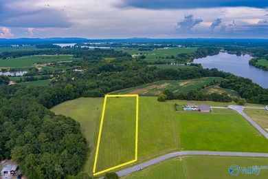 Weiss Lake! Enjoy LAKE LIFE LIVING! Build your Dream Home Here - photo 17