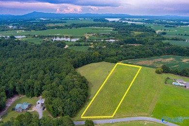 Weiss Lake! Enjoy LAKE LIFE LIVING! Build your Dream Home Here - photo 19