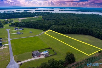 Weiss Lake! Enjoy LAKE LIFE LIVING! Build your Dream Home Here - photo 21