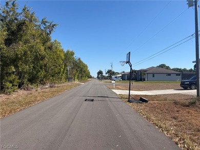 Build your Florida dream home on this standard residential lot - photo 2