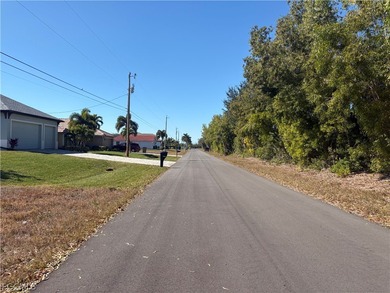 Build your Florida dream home on this standard residential lot - photo 3