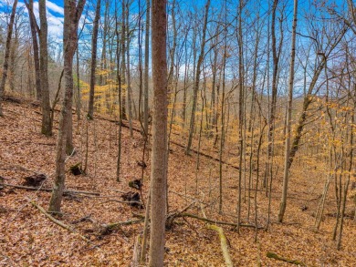 Lake Lot For Sale in Dandridge, Tennessee