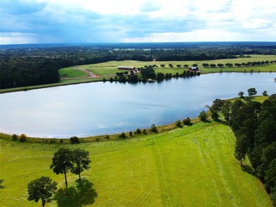 (private lake, pond, creek) Lot For Sale in Hillister Texas