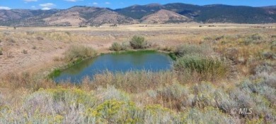 Lake Acreage For Sale in Davis Creek, California