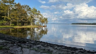 Discover your dream retreat with this breathtaking (approx) 77 - photo 11