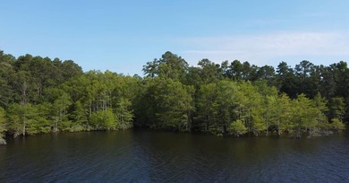 Discover your dream retreat with this breathtaking (approx) 77 - photo 14