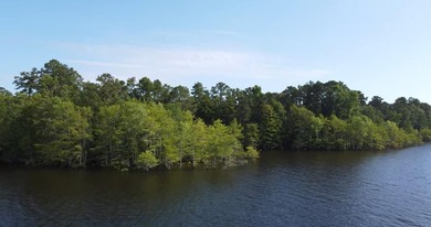Discover your dream retreat with this breathtaking (approx) 77 - photo 15
