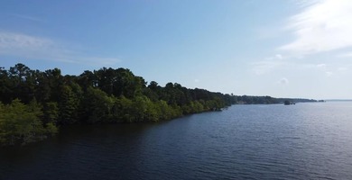 Discover your dream retreat with this breathtaking (approx) 77 - photo 16