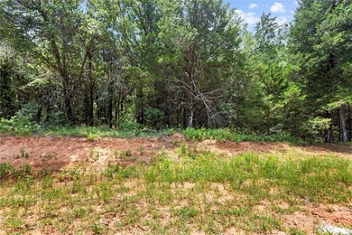 A PROPERTY LIKE THIS WAS NEVER MEANT TO BE COMPARED TO A - photo 8