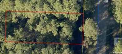 Vacant residential lot in Santa Rosa Beach. Located near - photo 2