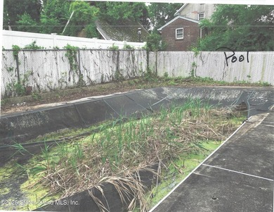 Large 2 family with basement, large yard and in-ground pool - photo 7