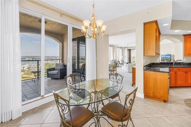 Spectacular Downtown St. Pete Condo with Mesmerizing Waterfront - photo 9