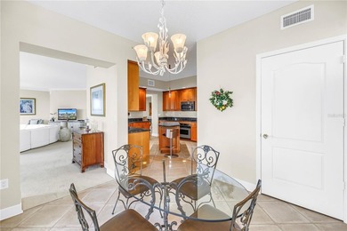 Spectacular Downtown St. Pete Condo with Mesmerizing Waterfront - photo 10