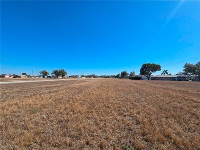 Clear Vacant Lot conveniently situated on a major corridor in - photo 5