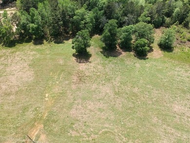 (private lake, pond, creek) Acreage For Sale in Hillister Texas