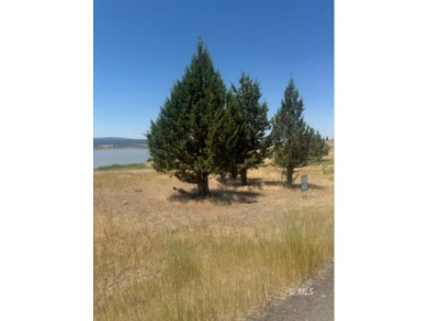 Lake Lot For Sale in Alturas, California