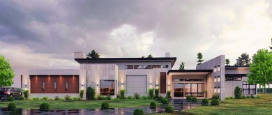 Eagle Mountain Lake Home For Sale in Fort Worth Texas