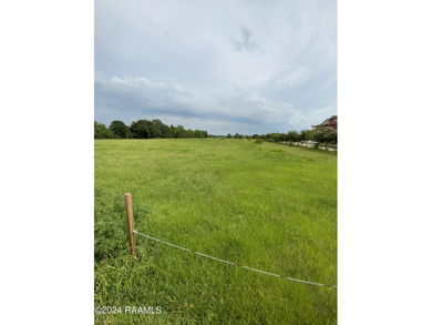 (private lake, pond, coastal) Lot For Sale in Duson Louisiana