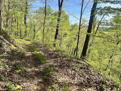 Vinita Hill Farm is one of those properties that rarely come to - photo 30