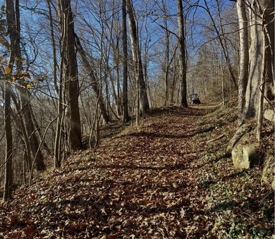 Vinita Hill Farm is one of those properties that rarely come to - photo 31