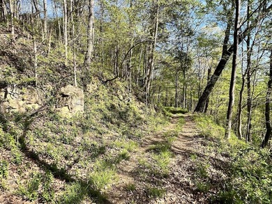 Vinita Hill Farm is one of those properties that rarely come to - photo 32