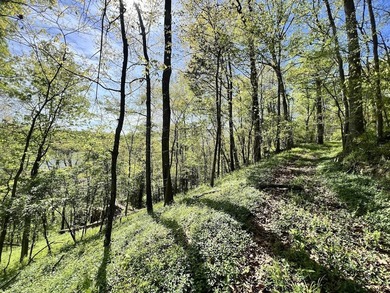 Vinita Hill Farm is one of those properties that rarely come to - photo 33