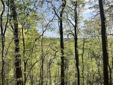 Vinita Hill Farm is one of those properties that rarely come to - photo 34