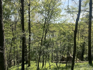 Vinita Hill Farm is one of those properties that rarely come to - photo 35