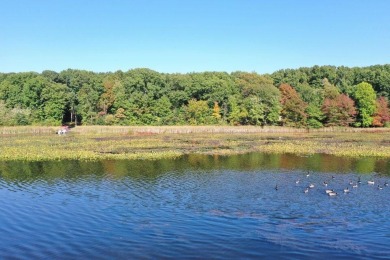 Lake Acreage For Sale in Grand Junction, Michigan