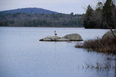 Welcome to your waterfront retreat on the quiet shores of Fahi - photo 45