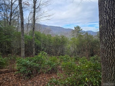 Lake Lot For Sale in Lake Toxaway, North Carolina