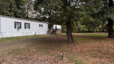 Toledo Bend Lake Home For Sale in Hemphill Texas