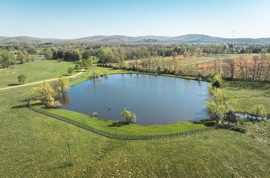 Don't miss out on your chance to own one of the most beautiful - photo 8