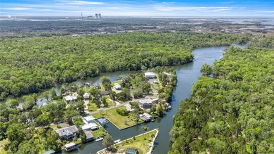 Old Florida Vibe on The Withlacoochee River with Marinas, Tiki - photo 8