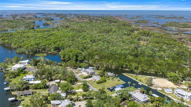 Old Florida Vibe on The Withlacoochee River with Marinas, Tiki - photo 10