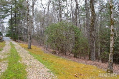 Lake Acreage For Sale in Cashiers, North Carolina