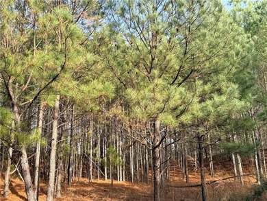 (private lake, pond, coastal) Lot For Sale in Snellville Georgia