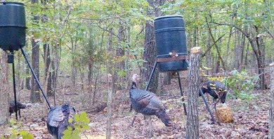 54+/- acres located off Peel Road in Shirley, Arkansas. This - photo 5