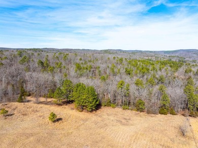 54+/- acres located off Peel Road in Shirley, Arkansas. This - photo 7