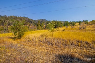 35.62 acres of rural Idaho beauty just short distance from - photo 18
