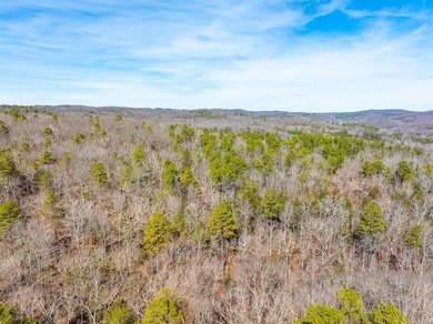 54+/- acres located off Peel Road in Shirley, Arkansas. This - photo 9