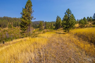 35.62 acres of rural Idaho beauty just short distance from - photo 19