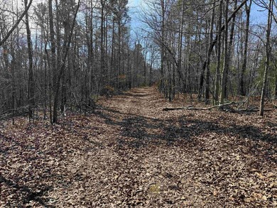 54+/- acres located off Peel Road in Shirley, Arkansas. This - photo 10