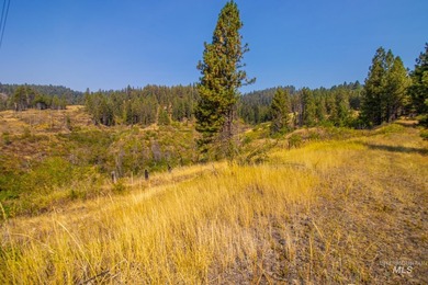 35.62 acres of rural Idaho beauty just short distance from - photo 20